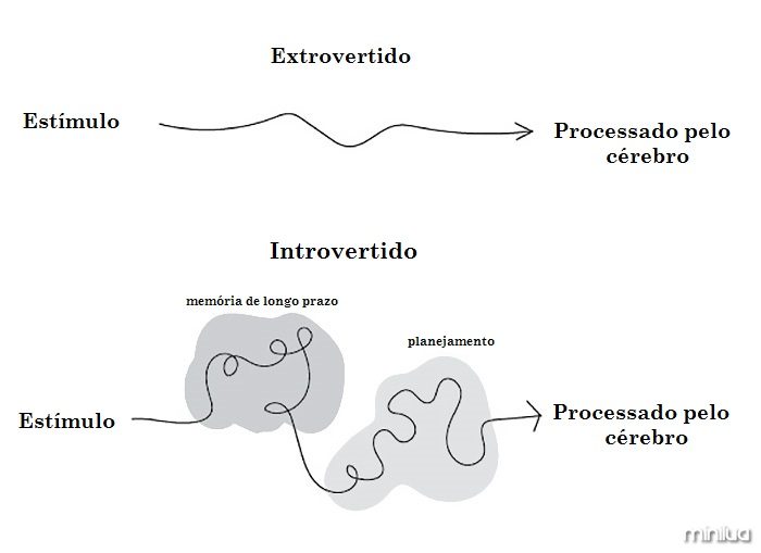 extrovertidos-e-introvertidos-6