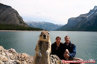 10_greatest_animal_photobombs_of_all_time_9