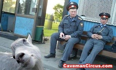 10_greatest_animal_photobombs_of_all_time_6