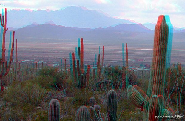 Saguaro National Park em fotografia 3D