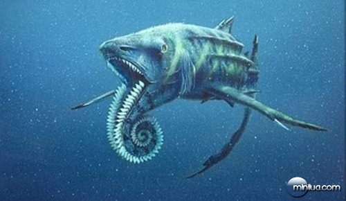 helicoprion23d-tm