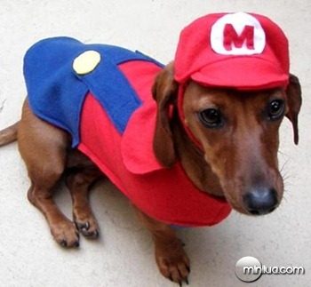 mario-puppy-costume_thumb
