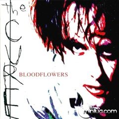 2000-bloodflowers