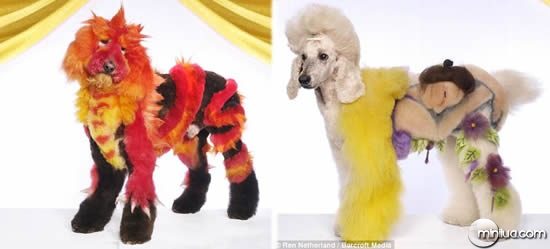 Dogs_dressed_up_2