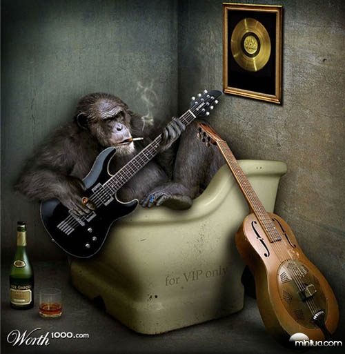 ape_guitarist