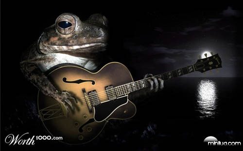 frog_guitar