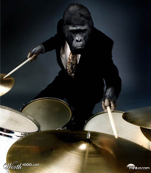 gorilla_drums