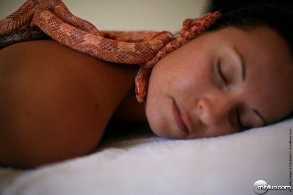 snake-massage4