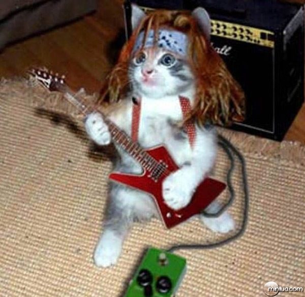 Rock del gato