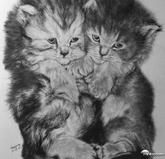 cat-drawings-06