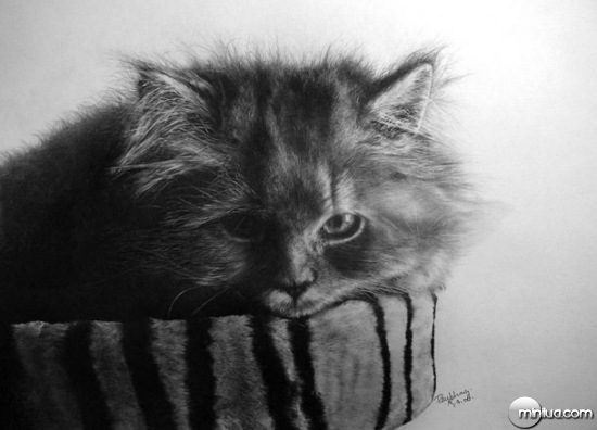 cat-drawings-08