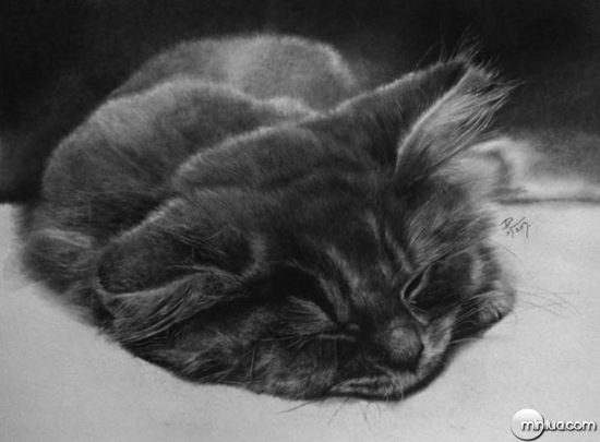 cat-drawings-11