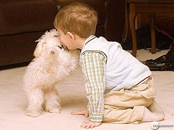 A cadelinha ficou em pé para dar um ataque de beijos no menino;;Crédito: Reprodução/ People pets