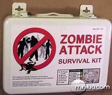 Zombie-Survival