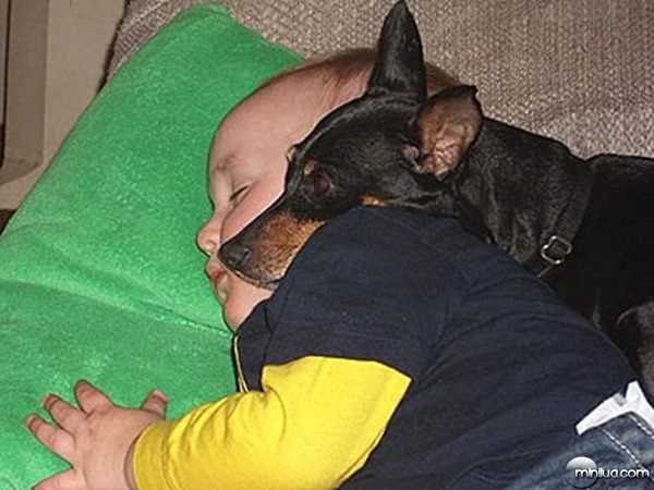 O cãozinho leva muito a sério a missão de vigiar o sono do bebê;;Crédito: Reprodução/ People pets