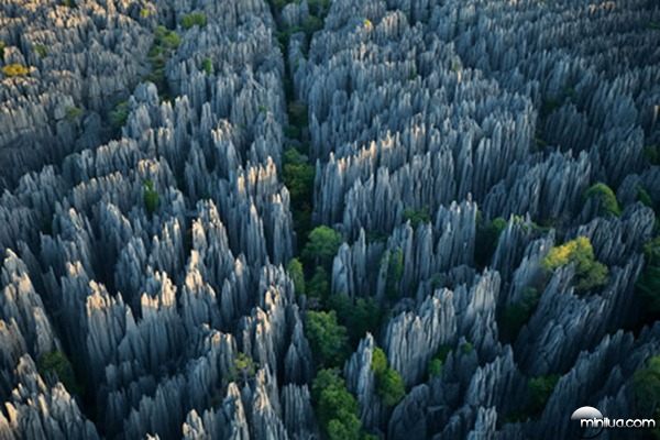 A-floresta-de-pedra-de-Madagascar
