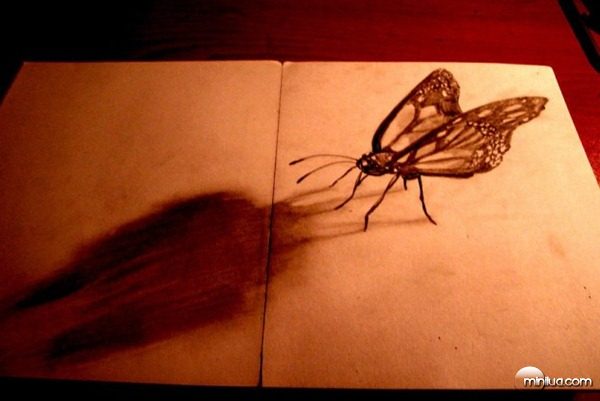 3d-drawing-butterfly