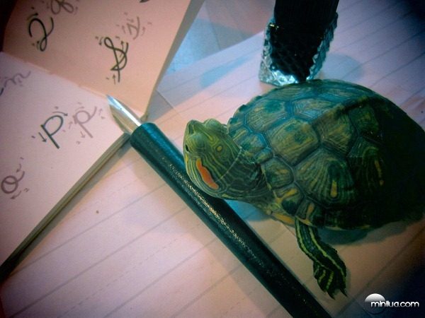 my-turtle-learns-penmanship-this-year-28732-1346360770-2[5]