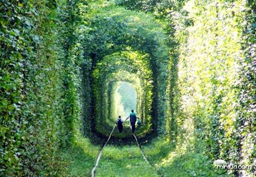 Tunnel-of-Love-in-Kleven