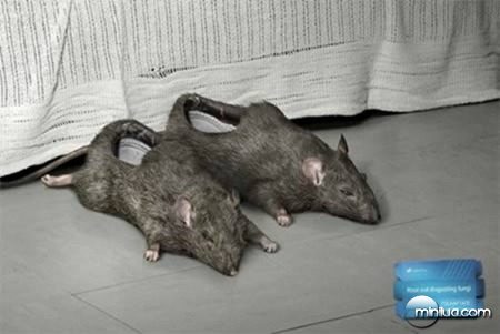 a98339_slippers_9-rat
