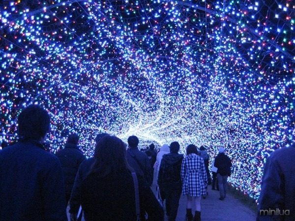 winter-light-festival-in-japan-8