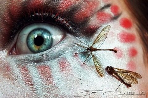 arte e maquiagem insetos_thumb[1]
