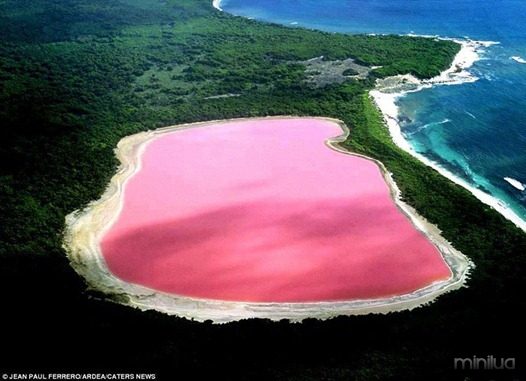lake-hillier-pink-lake-in-australia-1