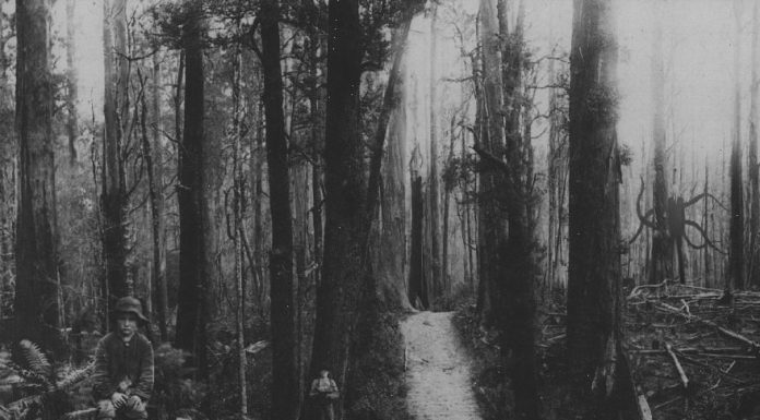 O terror em fotos antigas #6