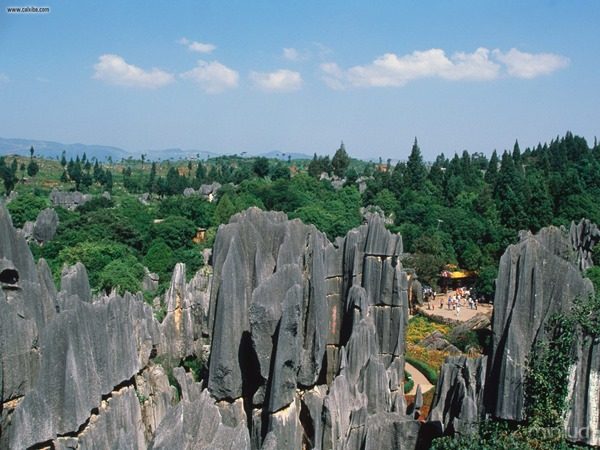 Stone_Forest_Yunnan_Province_China