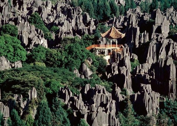 Stonewoods,-Shilin-Yunnan-Province,-China