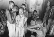 O holocausto brasileiro