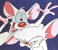 Pinky and the Brain2