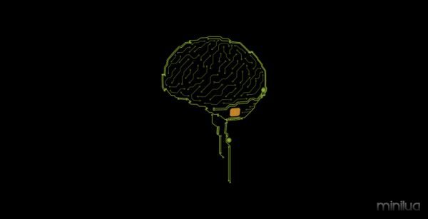 brain-760x390