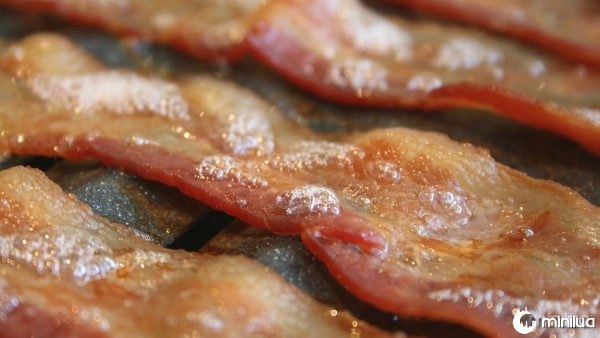 Is-anything-better-than-bacon...no_