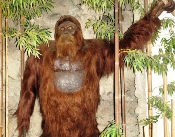 www.smithsonianmag.com-how-gigantopithecus-became-extinct-768-1024.jpg__800x600_q85_crop_subject_location-292387-610x477
