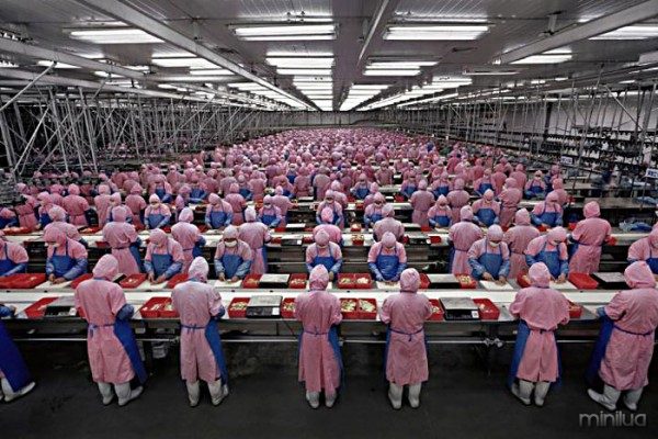 china-economy-working-class-production-line