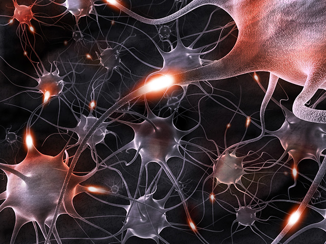 3d rendering illustration of neurons.