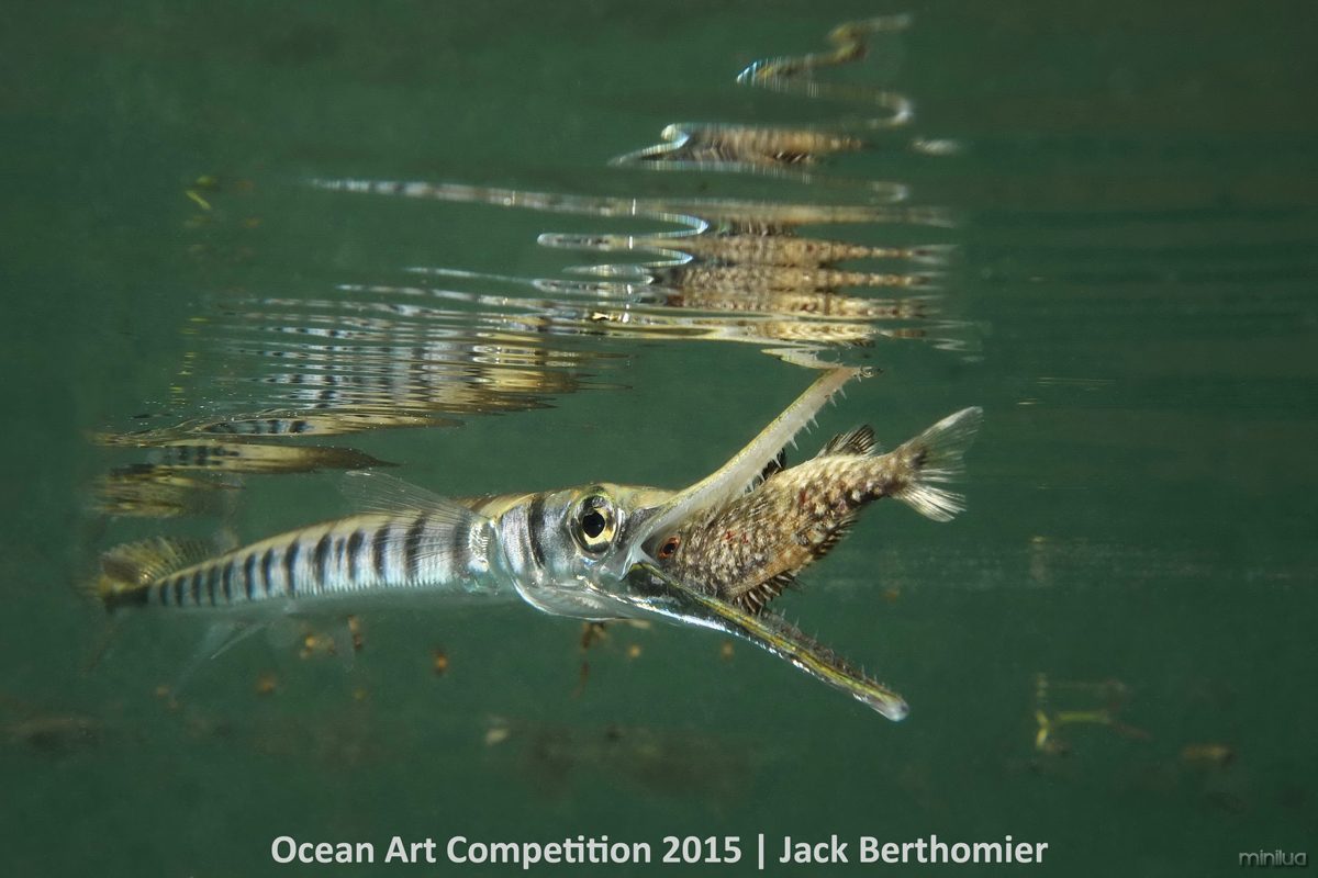 1st-cb-ocean-art-2015-jack-berthomier-1200