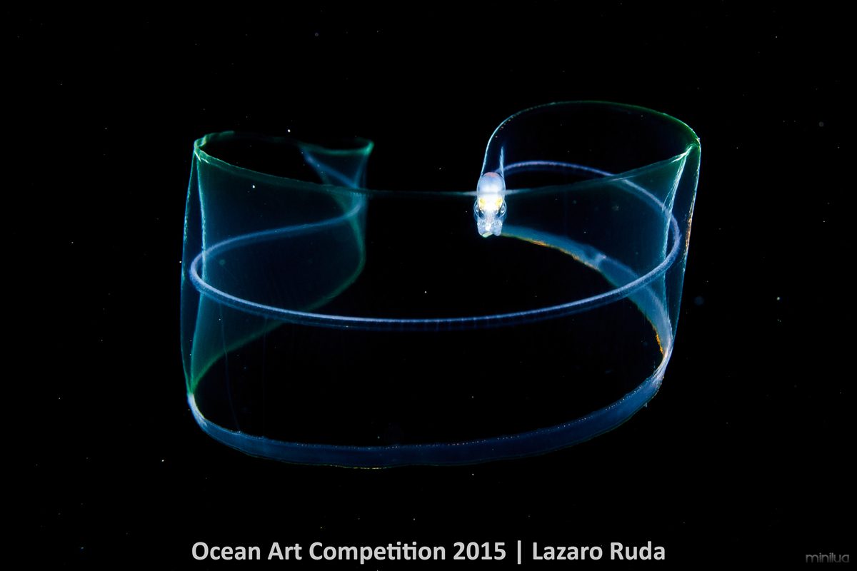 3rd-m-ocean-art-2015-lazaro-ruda-1200