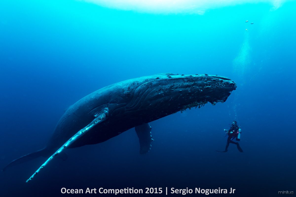 4th-ndslr-ocean-art-2015-sergio-n-jr-1200_0
