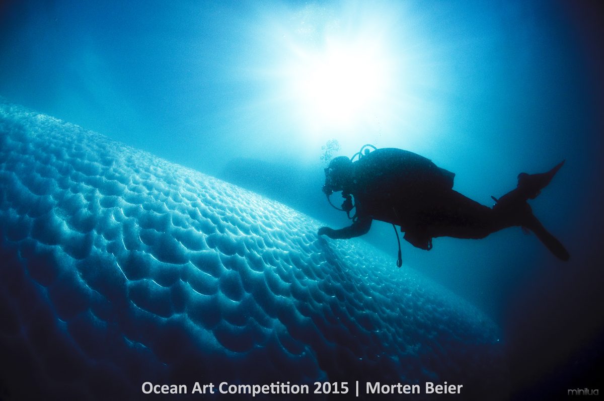 5th-c-ocean-art-2015-morten-beier-1200