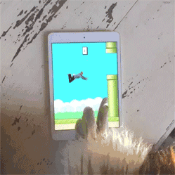 In-a-parallel-universe-flappy-man[5]