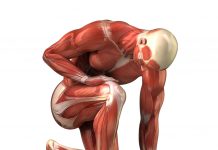 Guia de curiosidades sobre o seu corpo