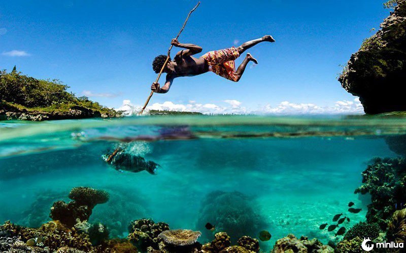 Spear-fishing-perfect-timing