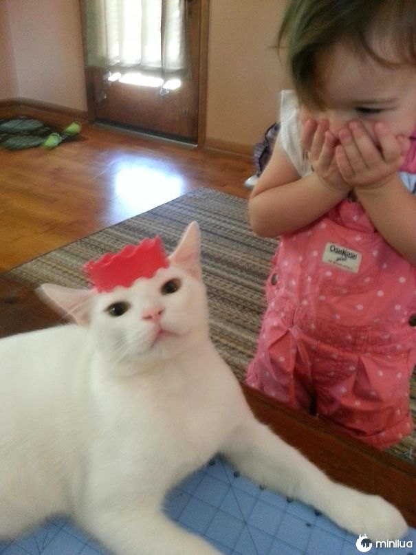 Minha filha era bonita excitada para fazer ao gato uma princesa