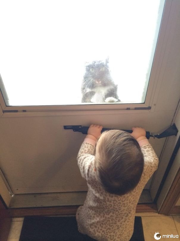 -2 Fora. Está aqui minha filha que fode com meu gato
