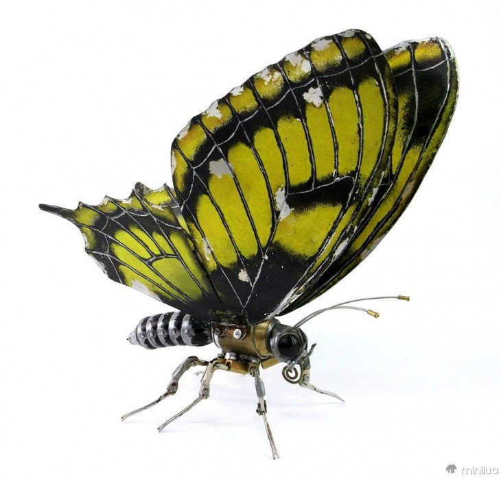 borboleta feita de lixo Igor Verniy