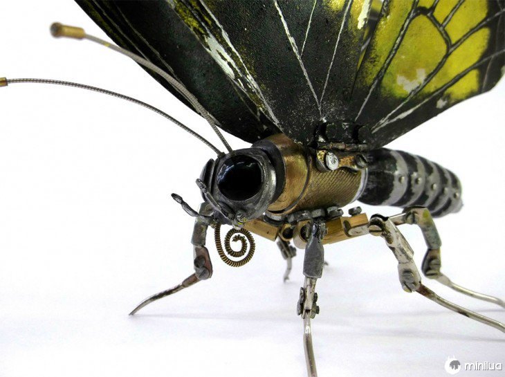 borboleta feita de lixo Igor Verniy