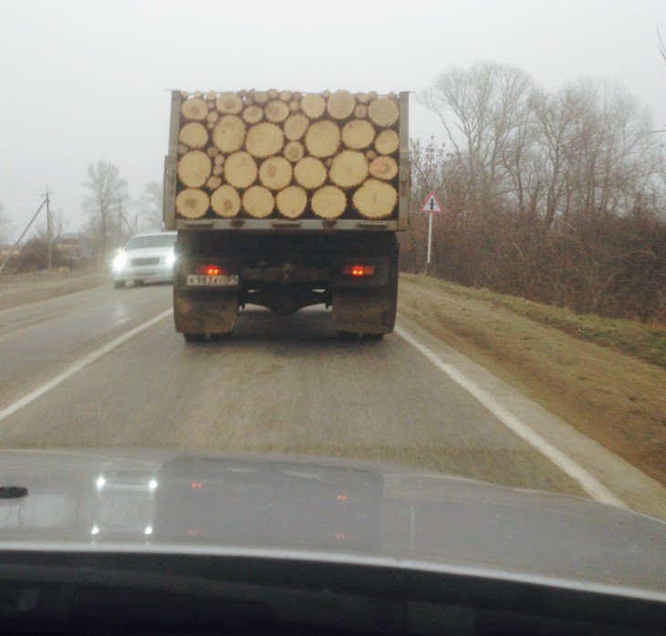 caminhão com pedaços de tronco bem 