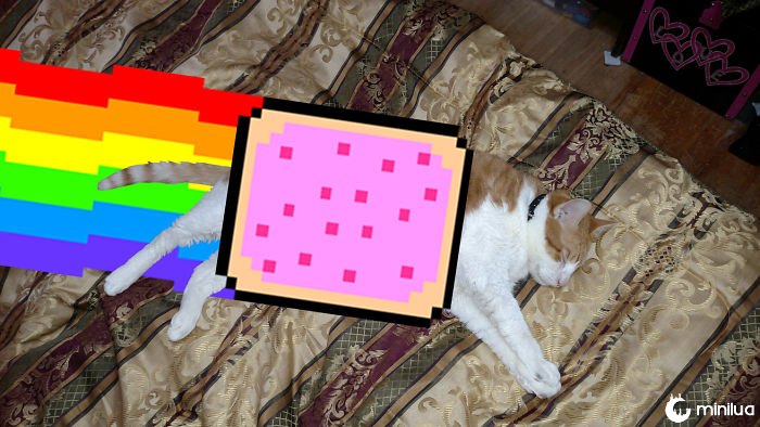 Nyan Cat Pop Tart Dreams